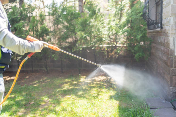 Professional Pest Control in Fircrest, WA